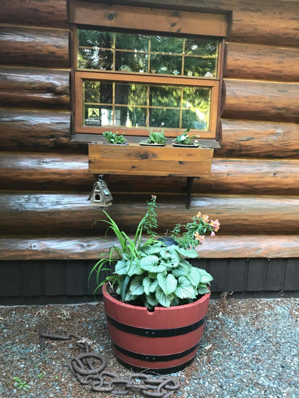Union Bay Log Home ภายนอก รูปภาพ