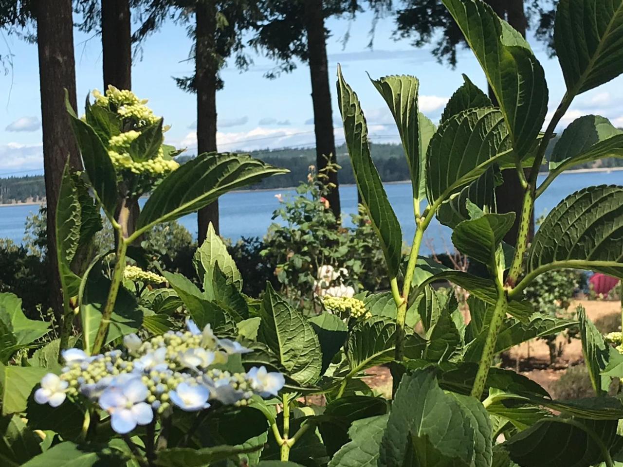 Union Bay Log Home ภายนอก รูปภาพ